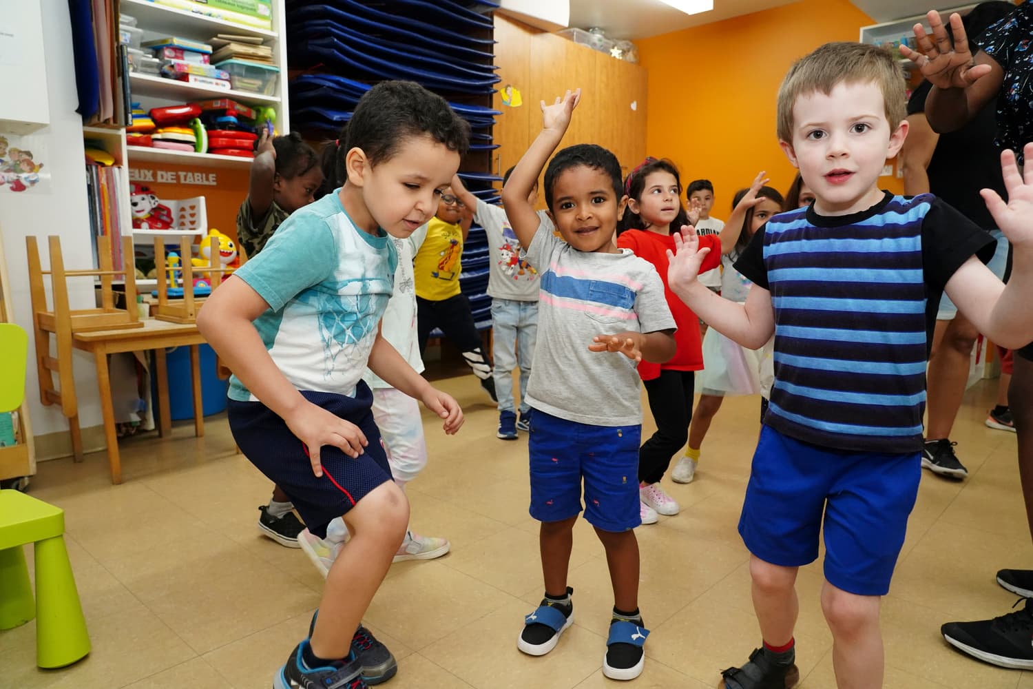 Shows & Celebrations